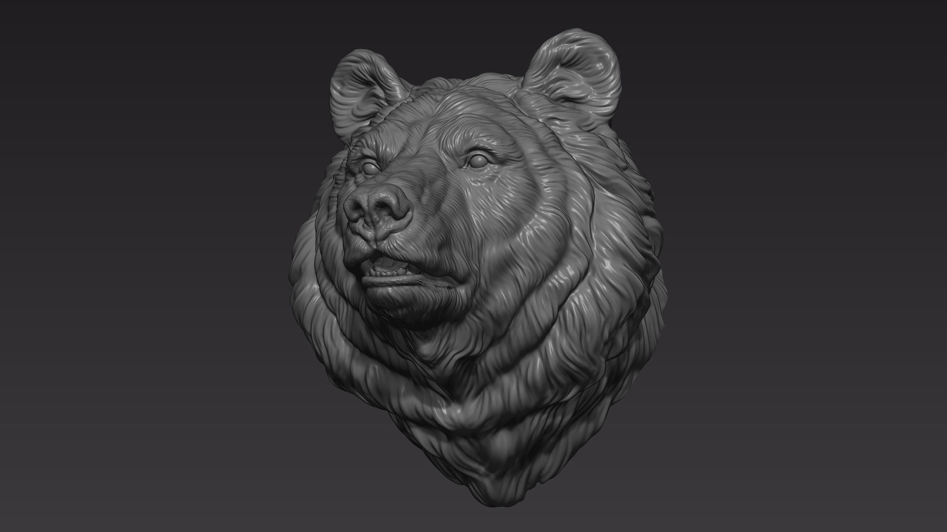 Bear head shaggy 3D print model_11