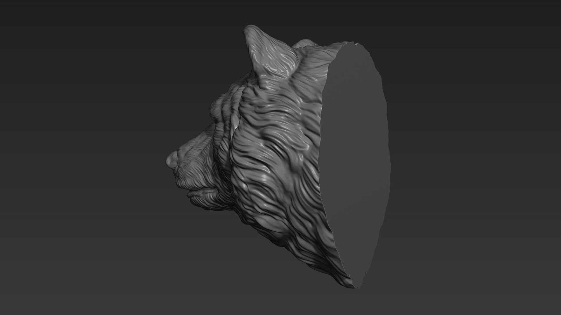 Bear head shaggy 3D print model_8