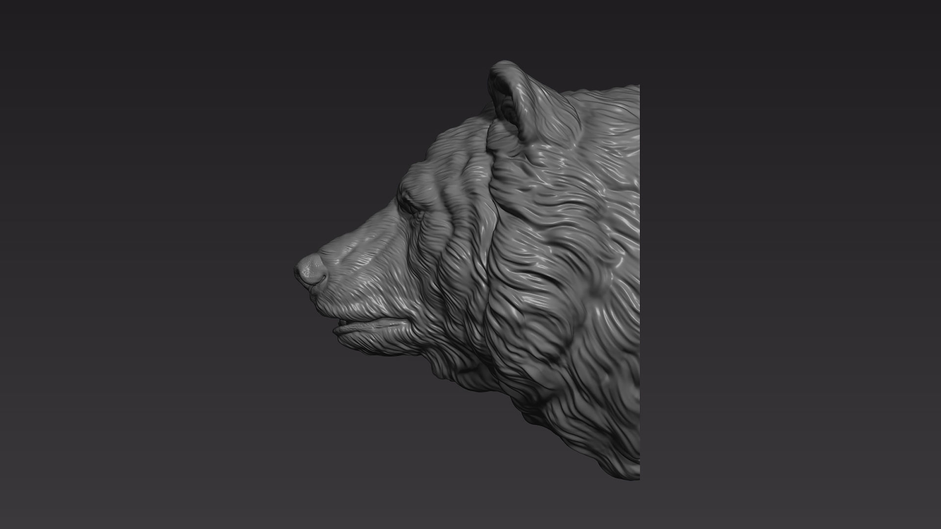 Bear head shaggy 3D print model_10