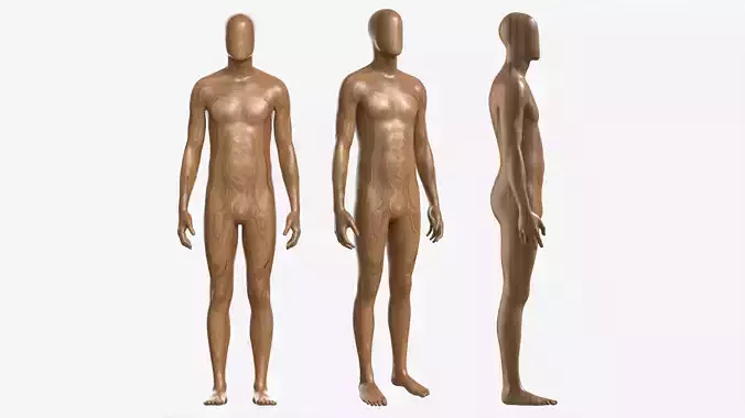 Male Full Body Mannequin Wooden