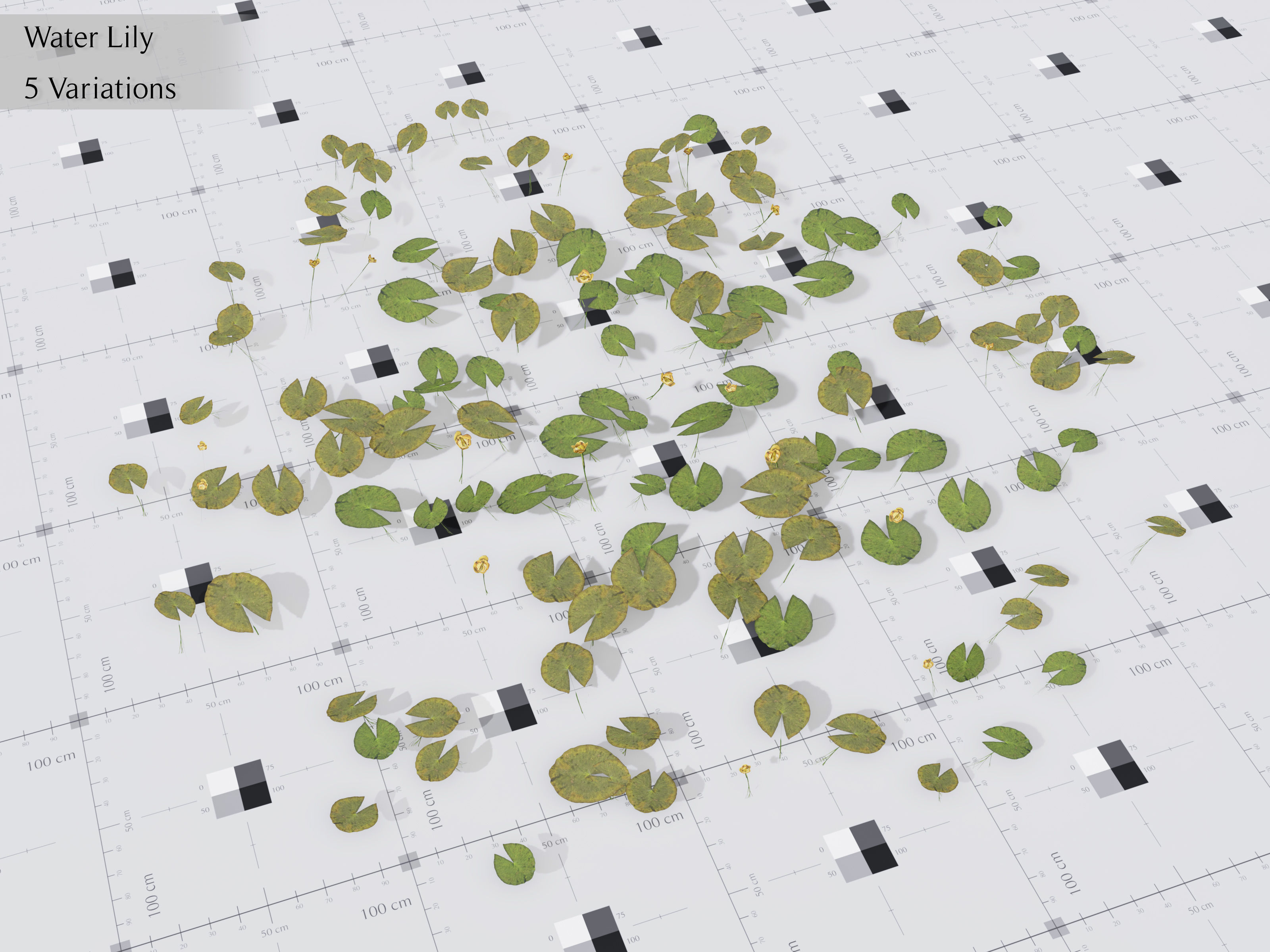 Nature Assets - Lake Plants Low-poly 3D model_14