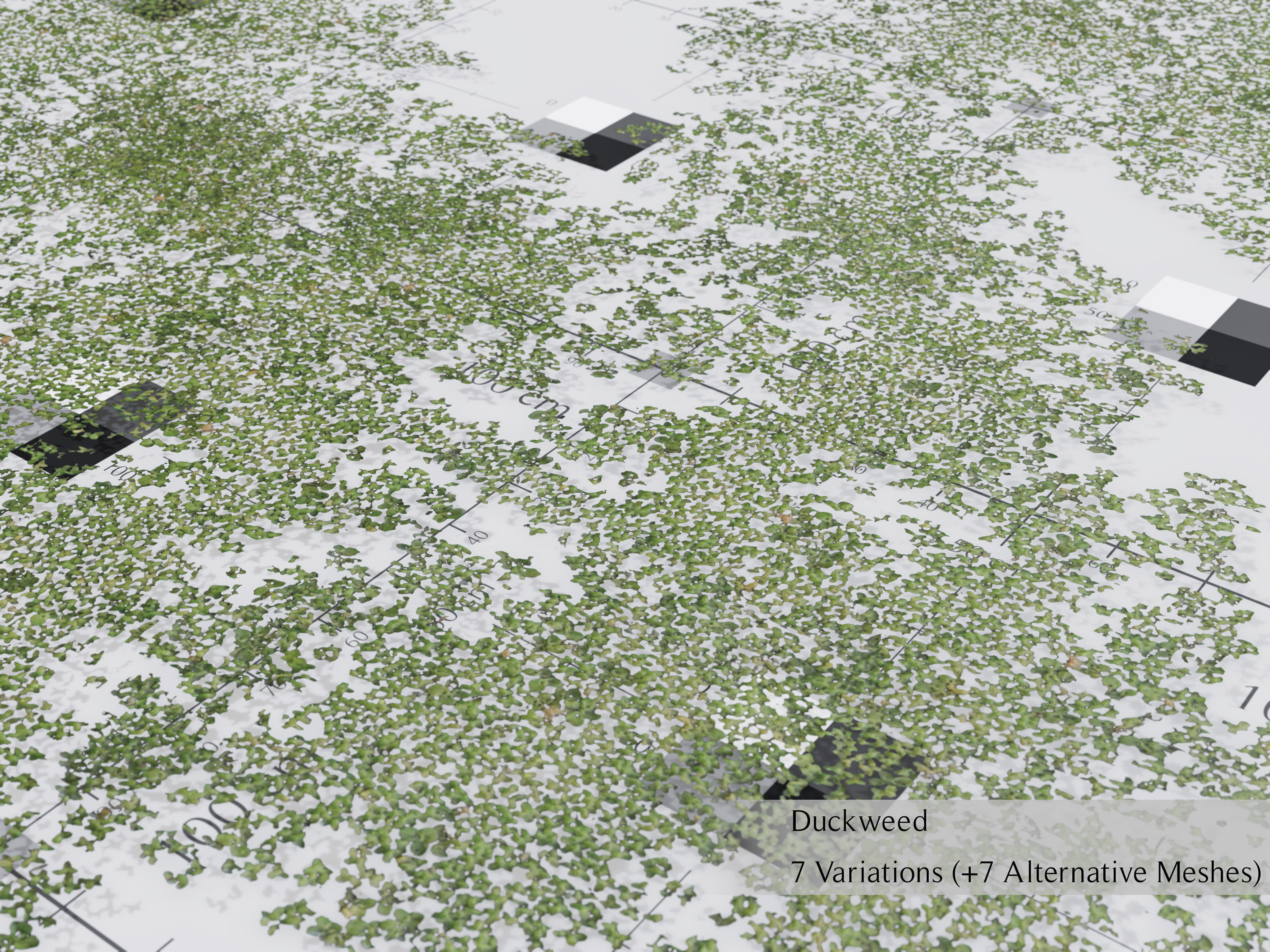 Nature Assets - Lake Plants Low-poly 3D model_9