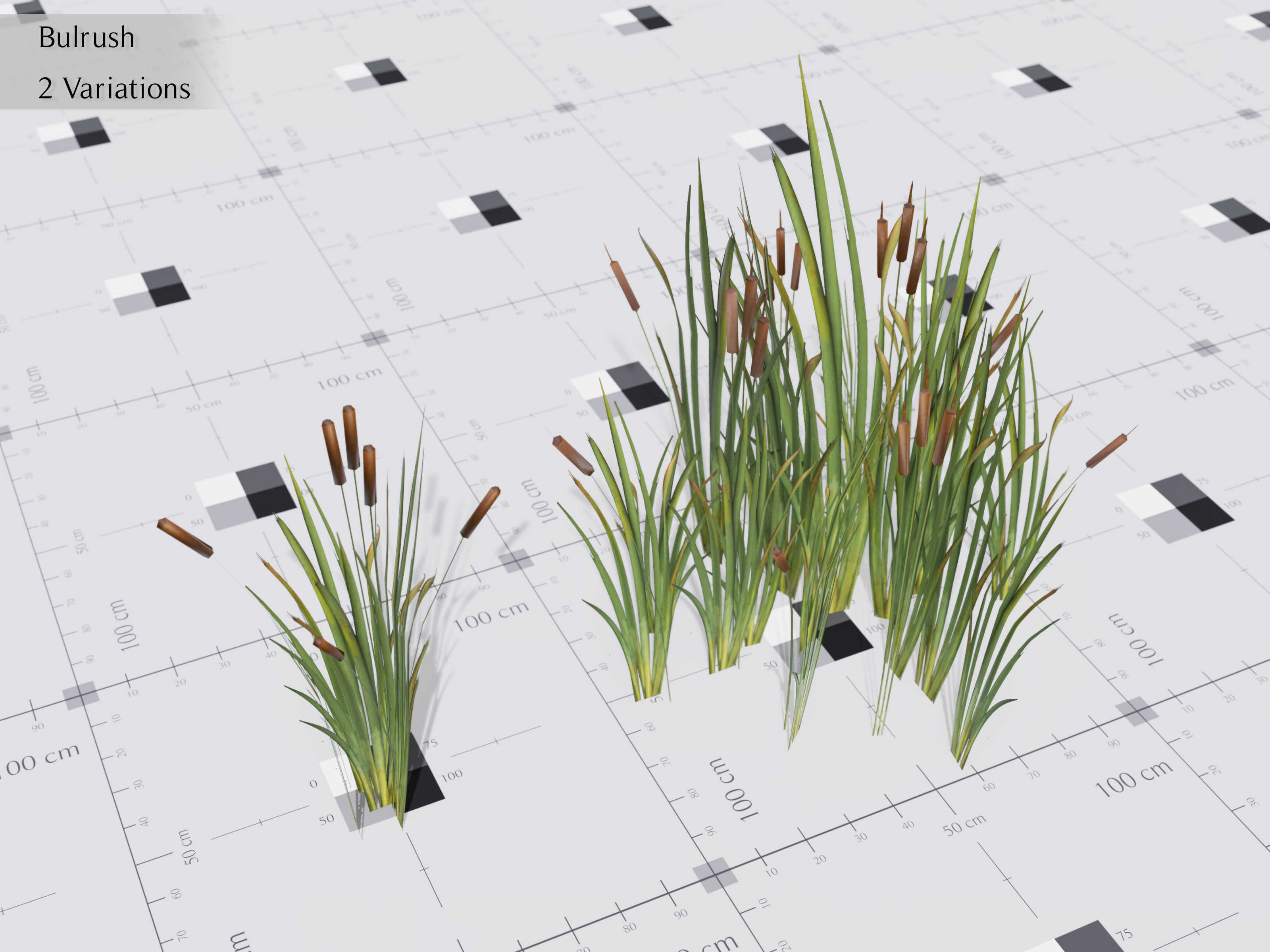 Nature Assets - Lake Plants Low-poly 3D model_6