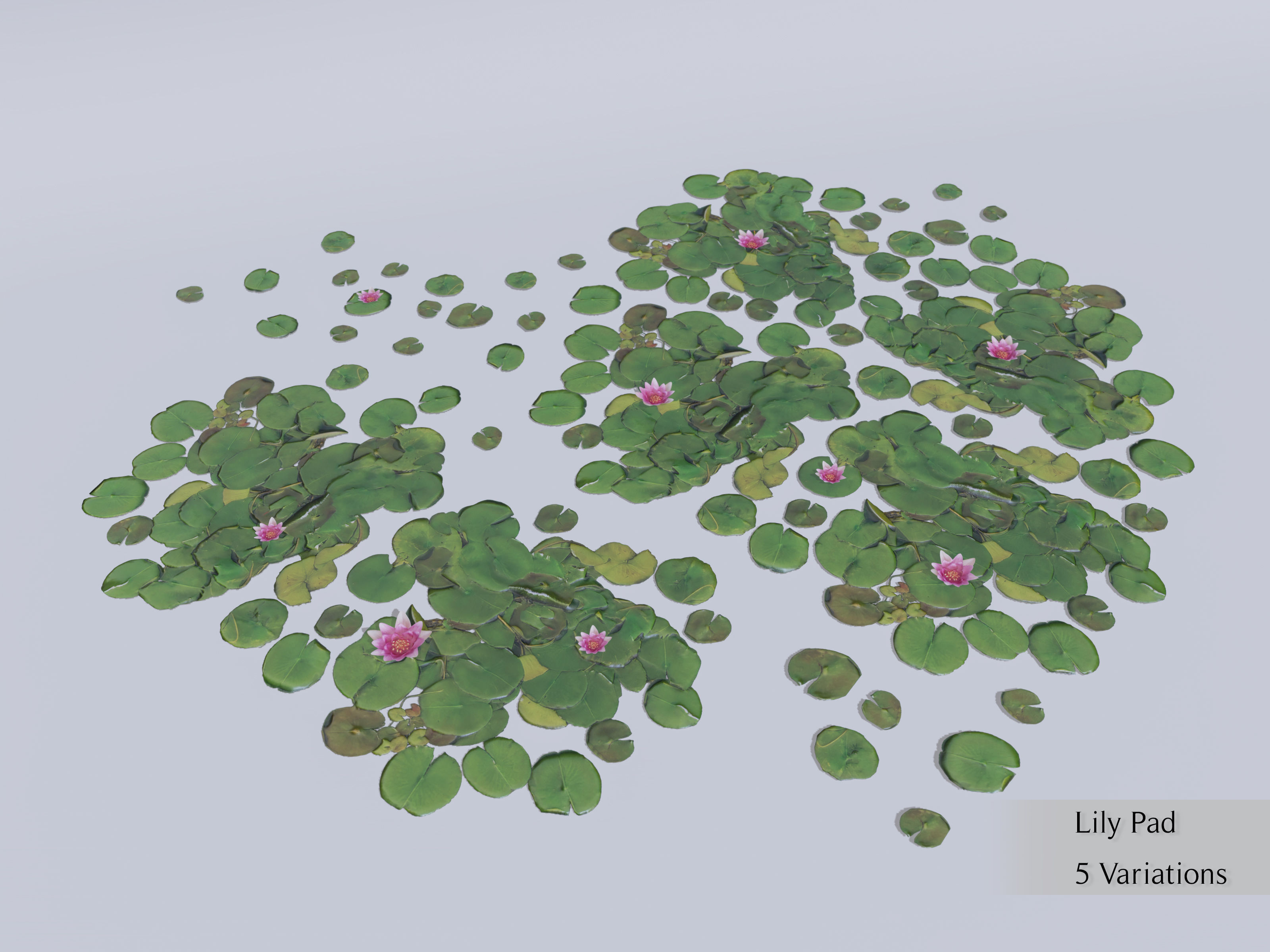 Nature Assets - Lake Plants Low-poly 3D model_11