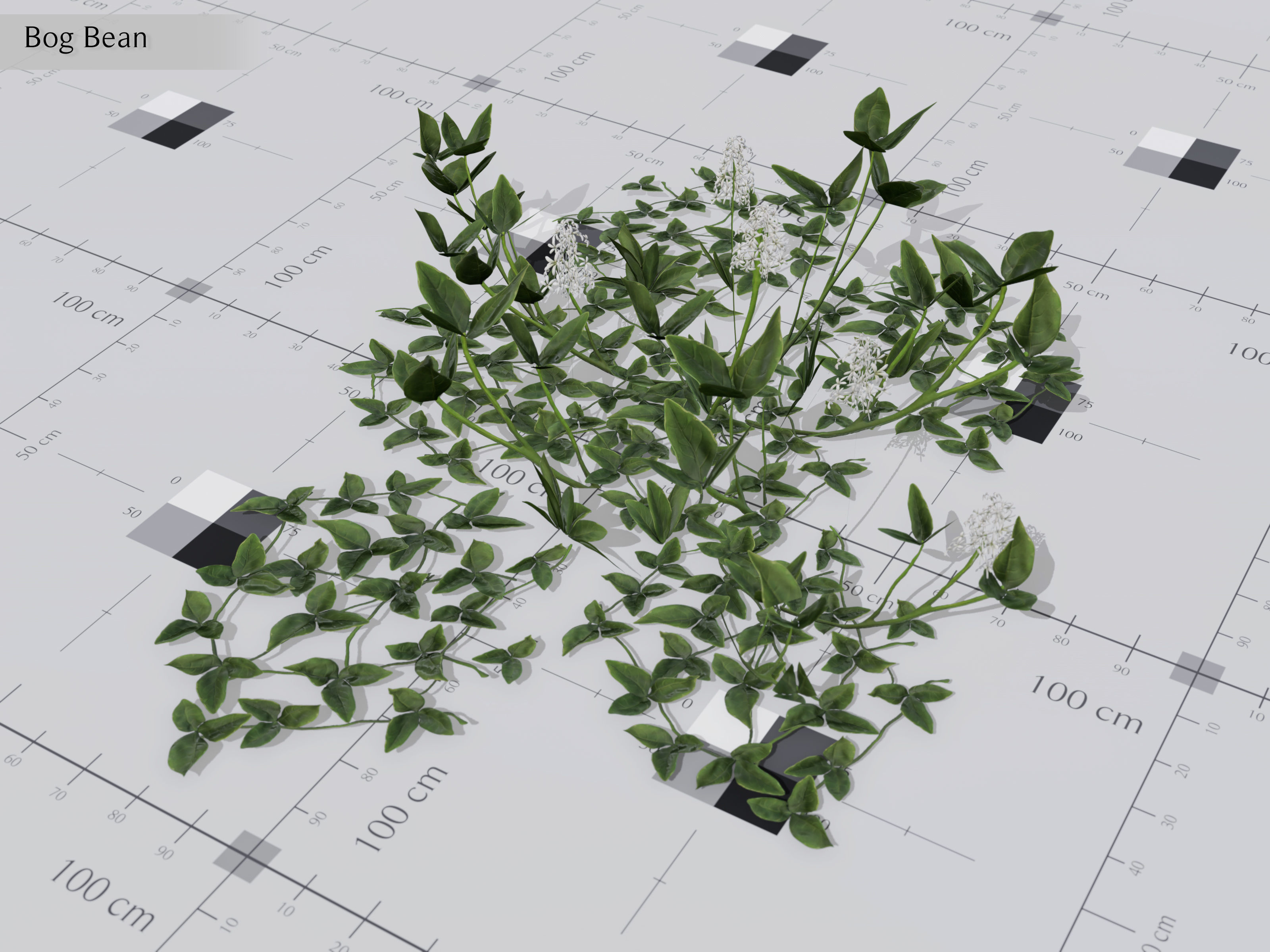 Nature Assets - Lake Plants Low-poly 3D model_4