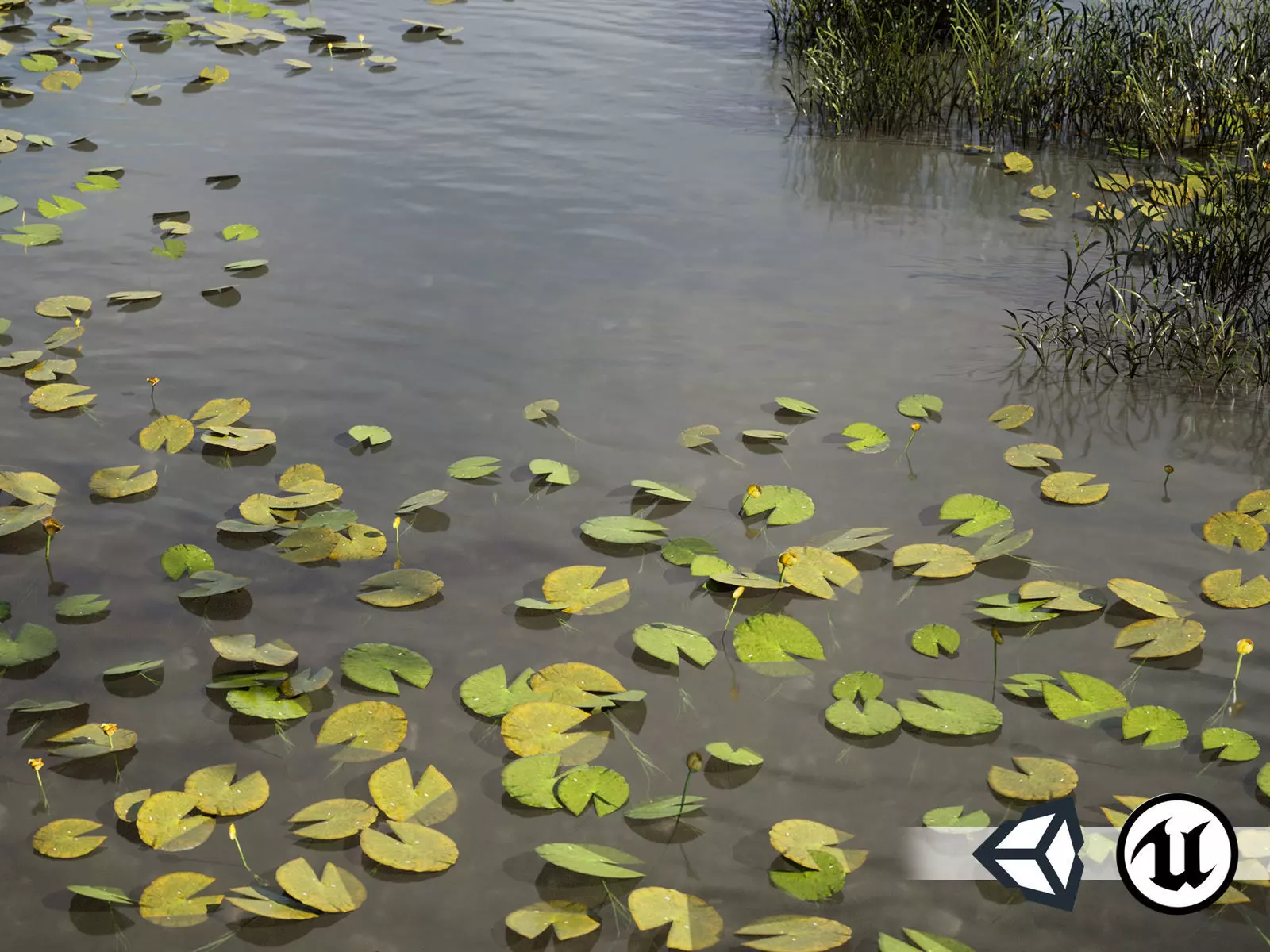 Nature Assets - Lake Plants Low-poly 3D model_0