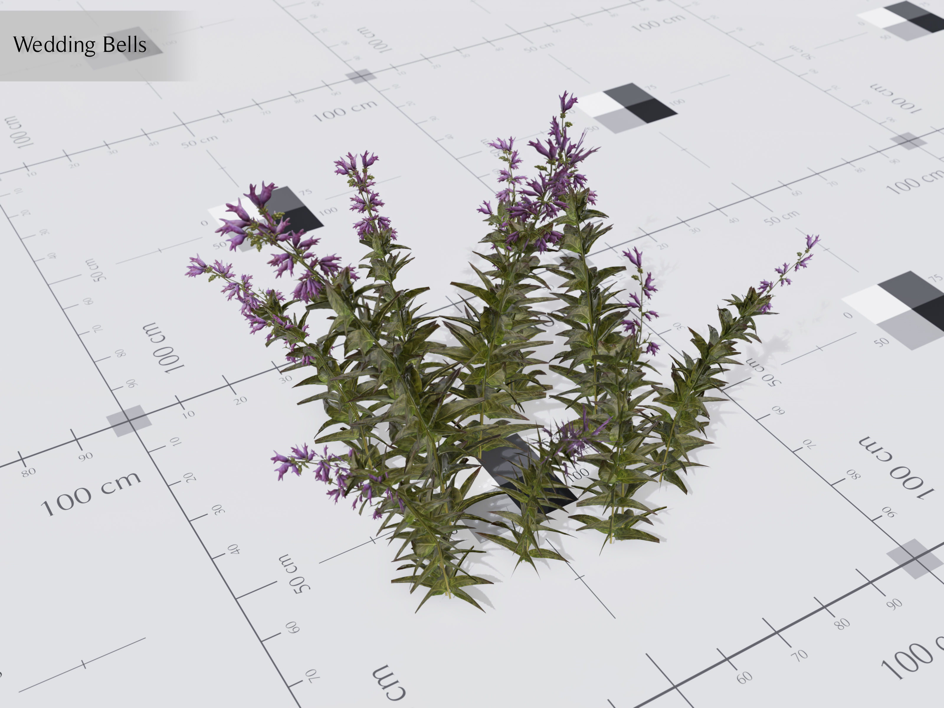 Nature Assets - Lake Plants Low-poly 3D model_18