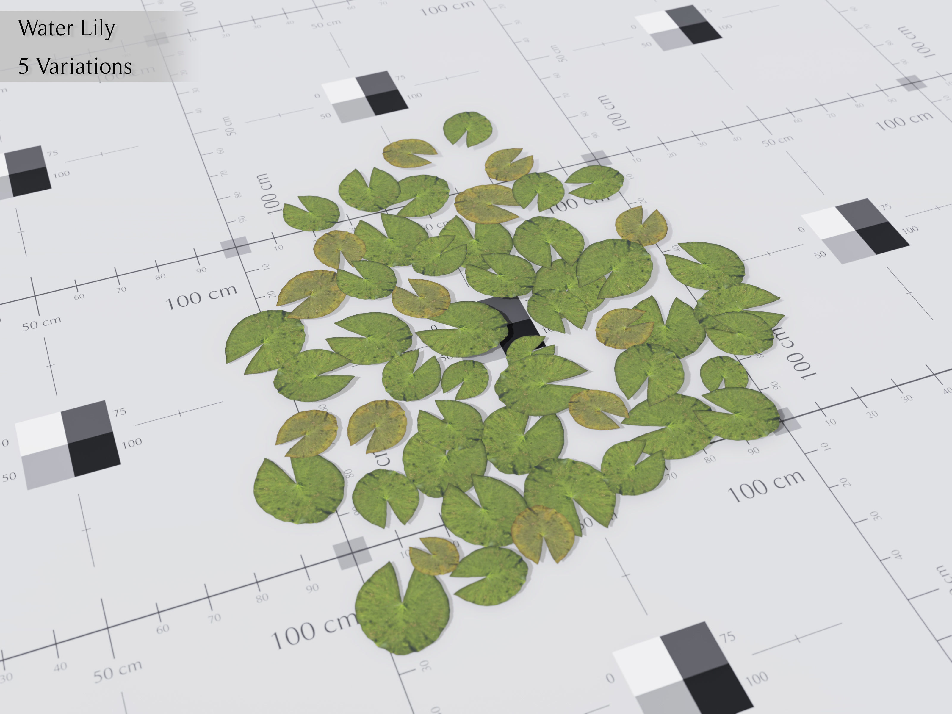 Nature Assets - Lake Plants Low-poly 3D model_16