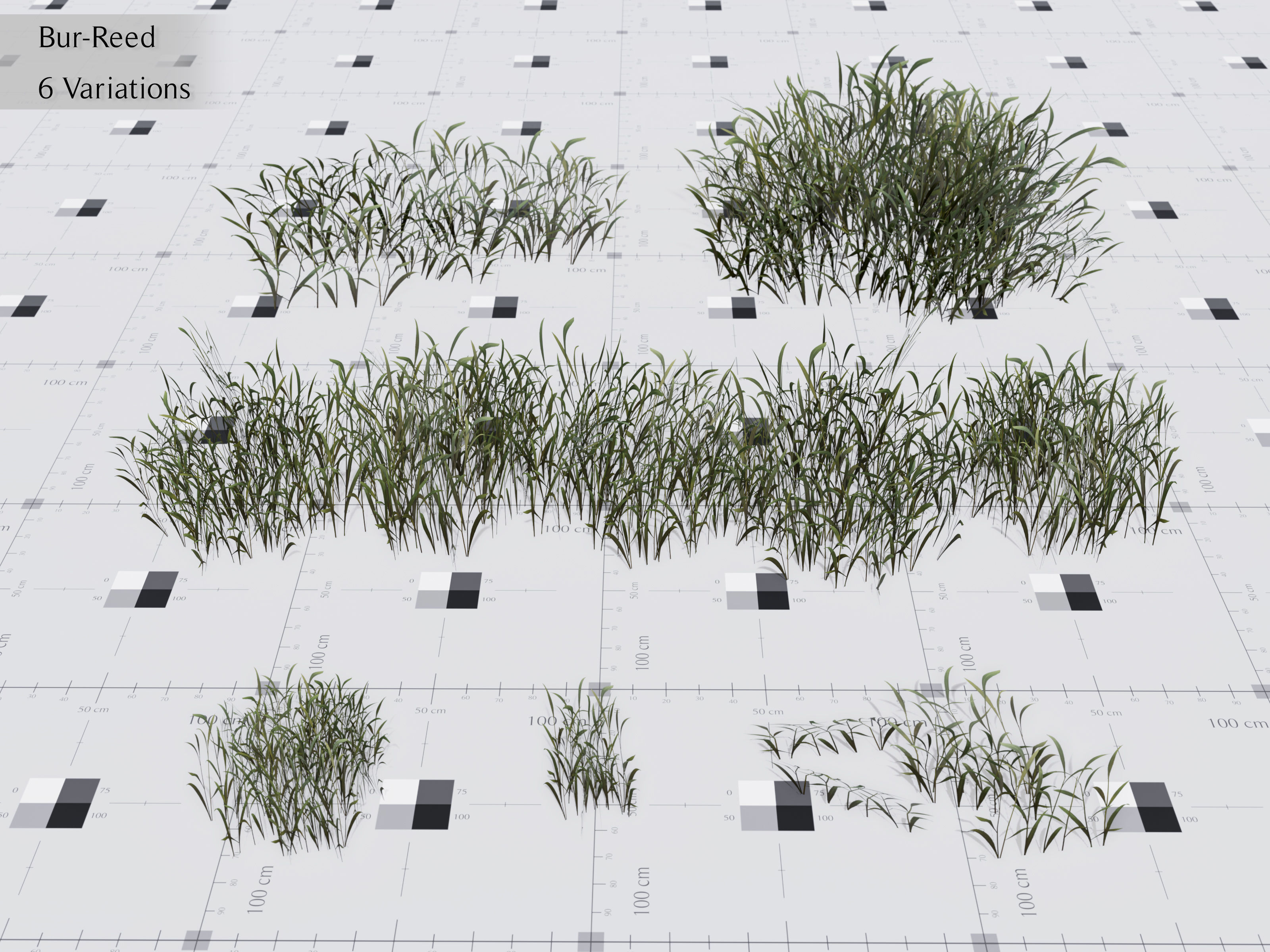 Nature Assets - Lake Plants Low-poly 3D model_7