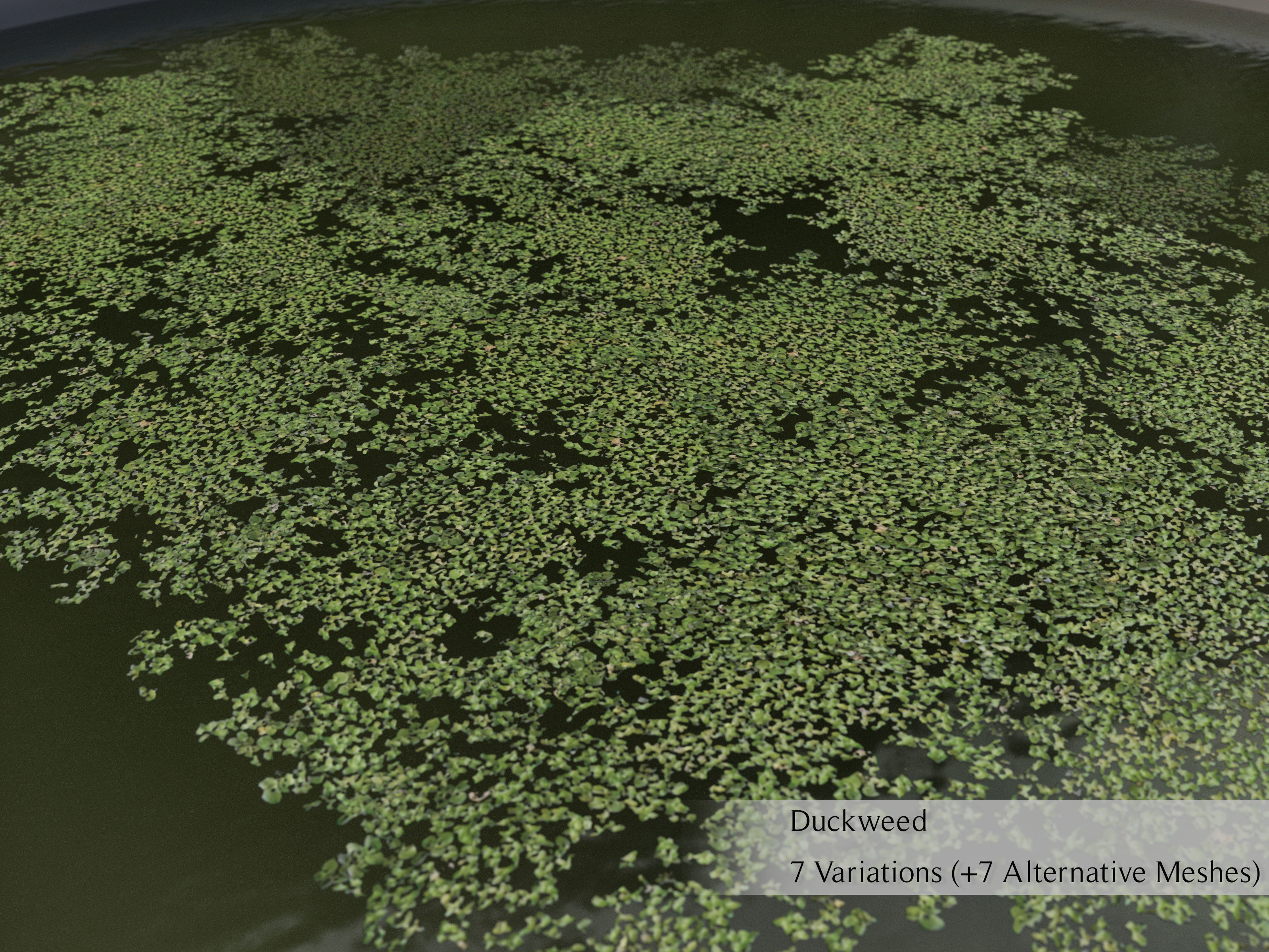 Nature Assets - Lake Plants Low-poly 3D model_8