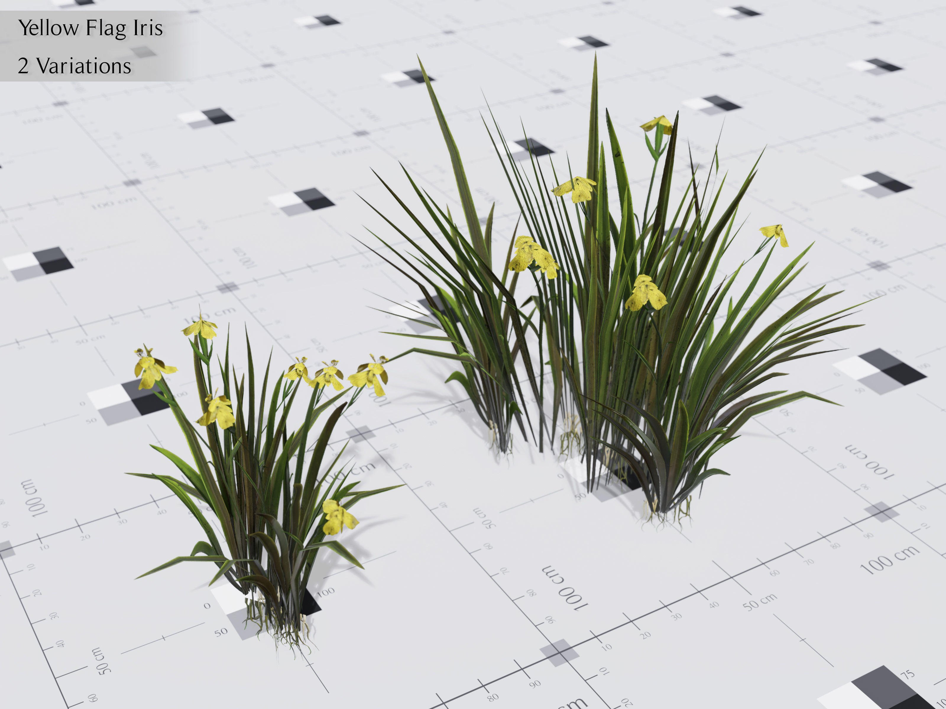 Nature Assets - Lake Plants Low-poly 3D model_21