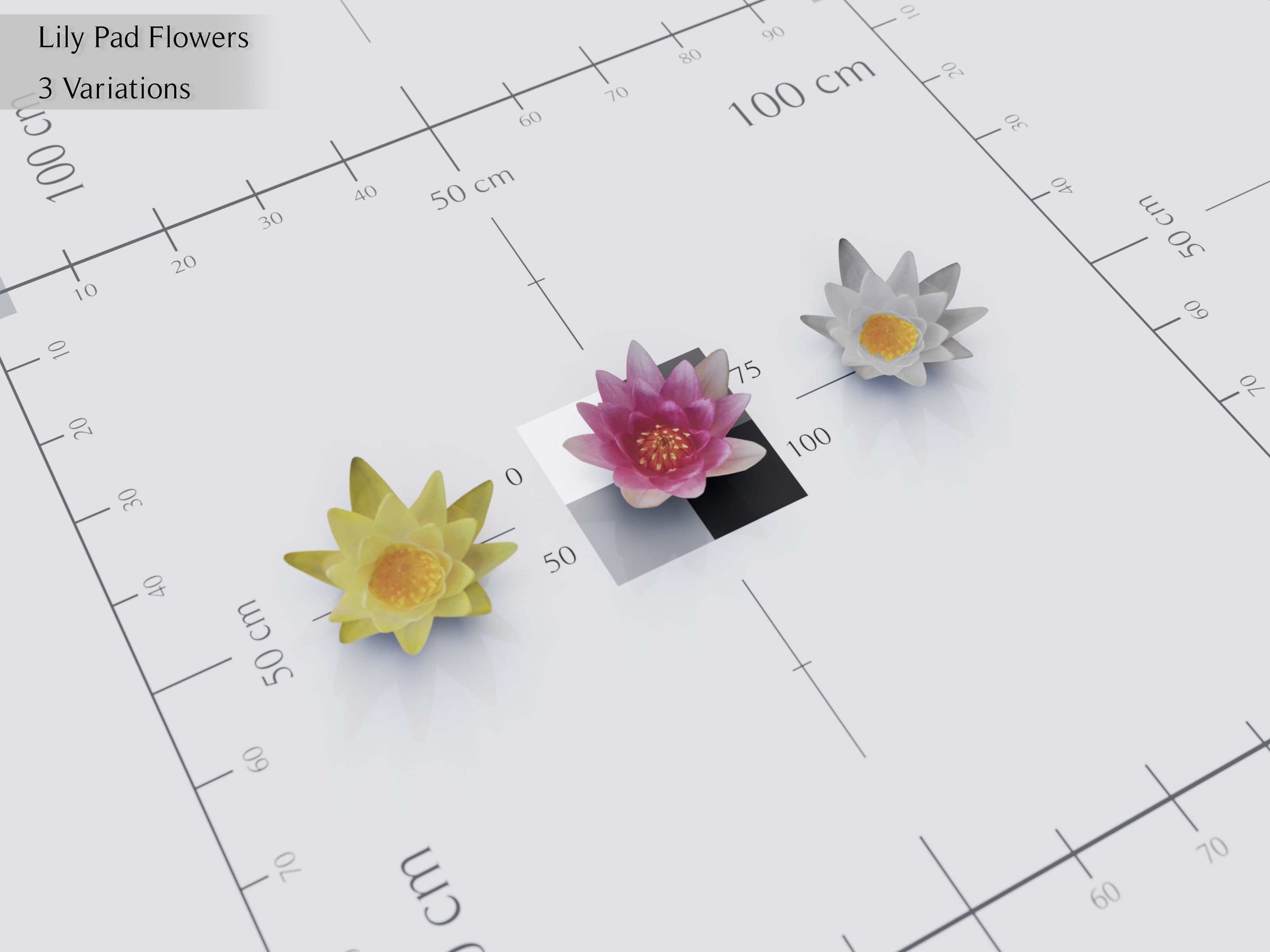 Nature Assets - Lake Plants Low-poly 3D model_12