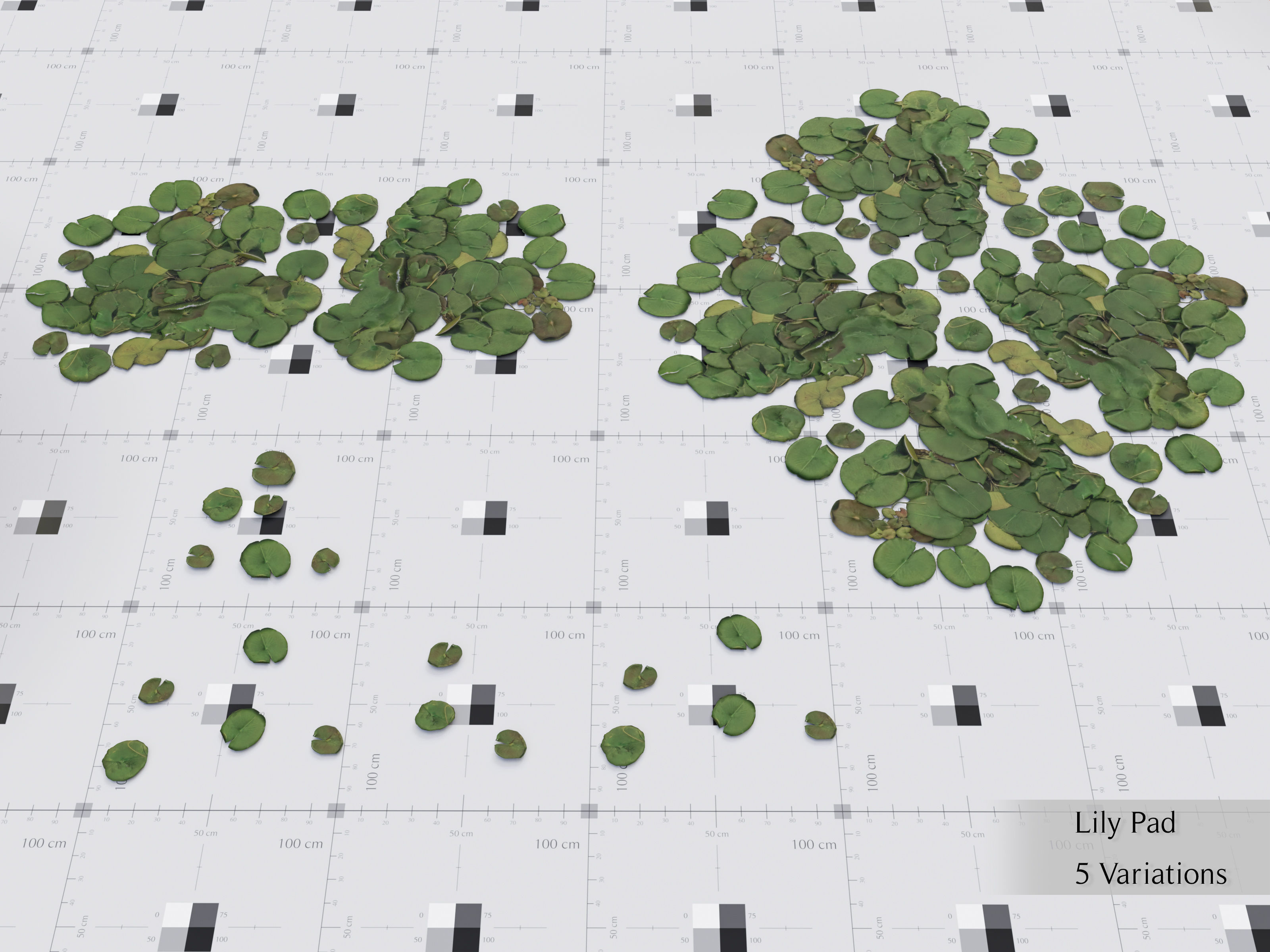 Nature Assets - Lake Plants Low-poly 3D model_10