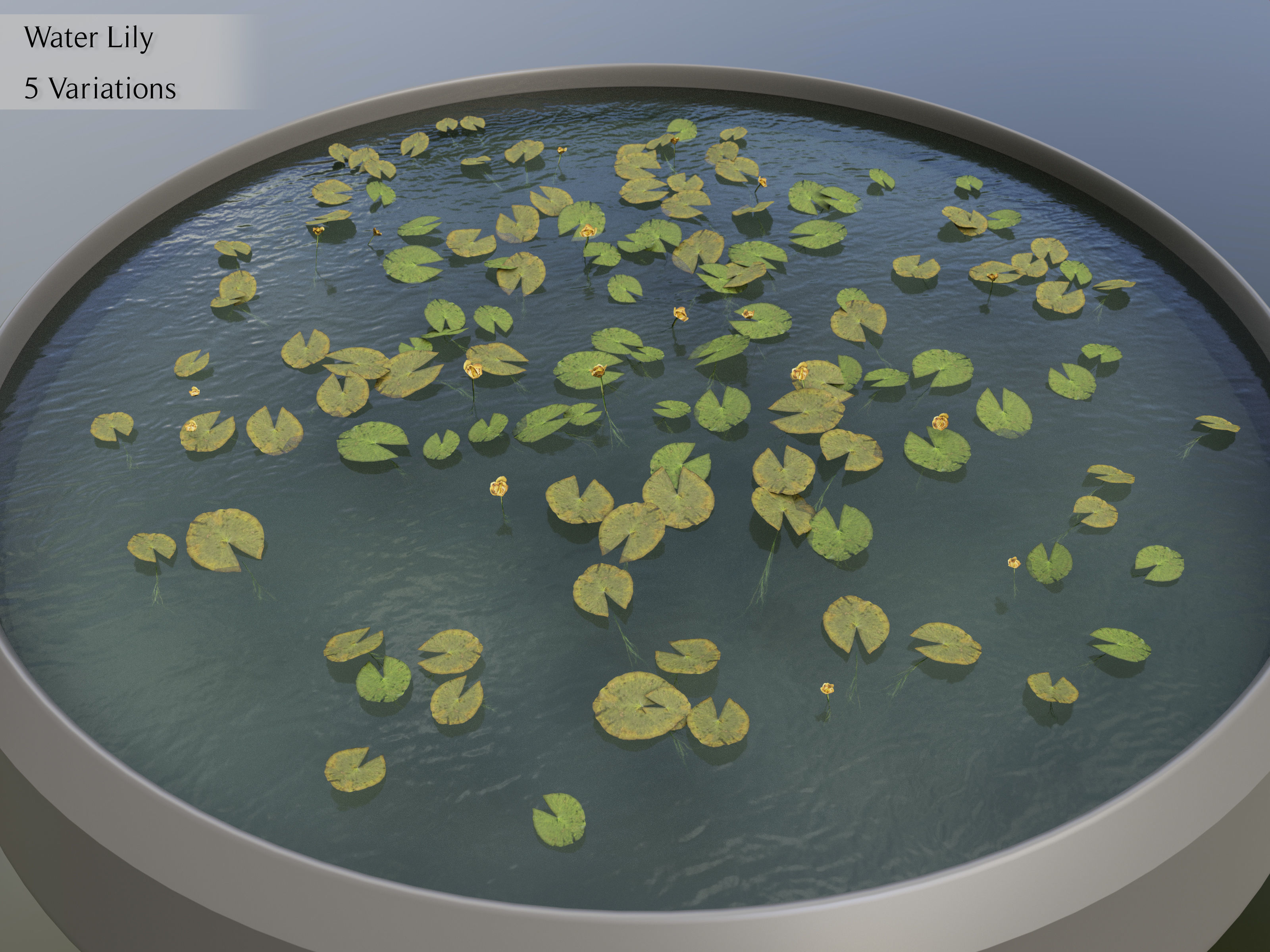 Nature Assets - Lake Plants Low-poly 3D model_13