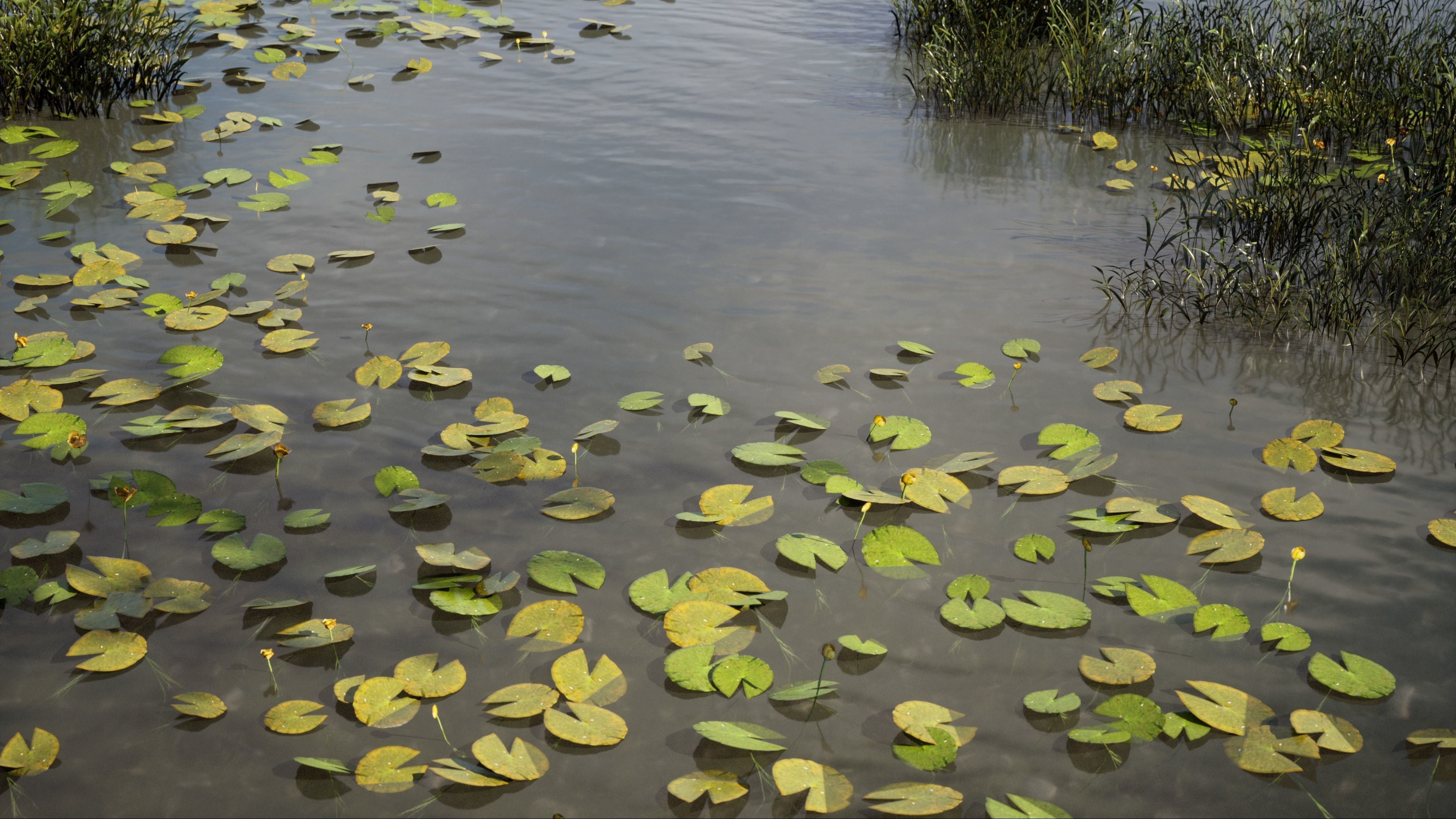 Nature Assets - Lake Plants Low-poly 3D model_2
