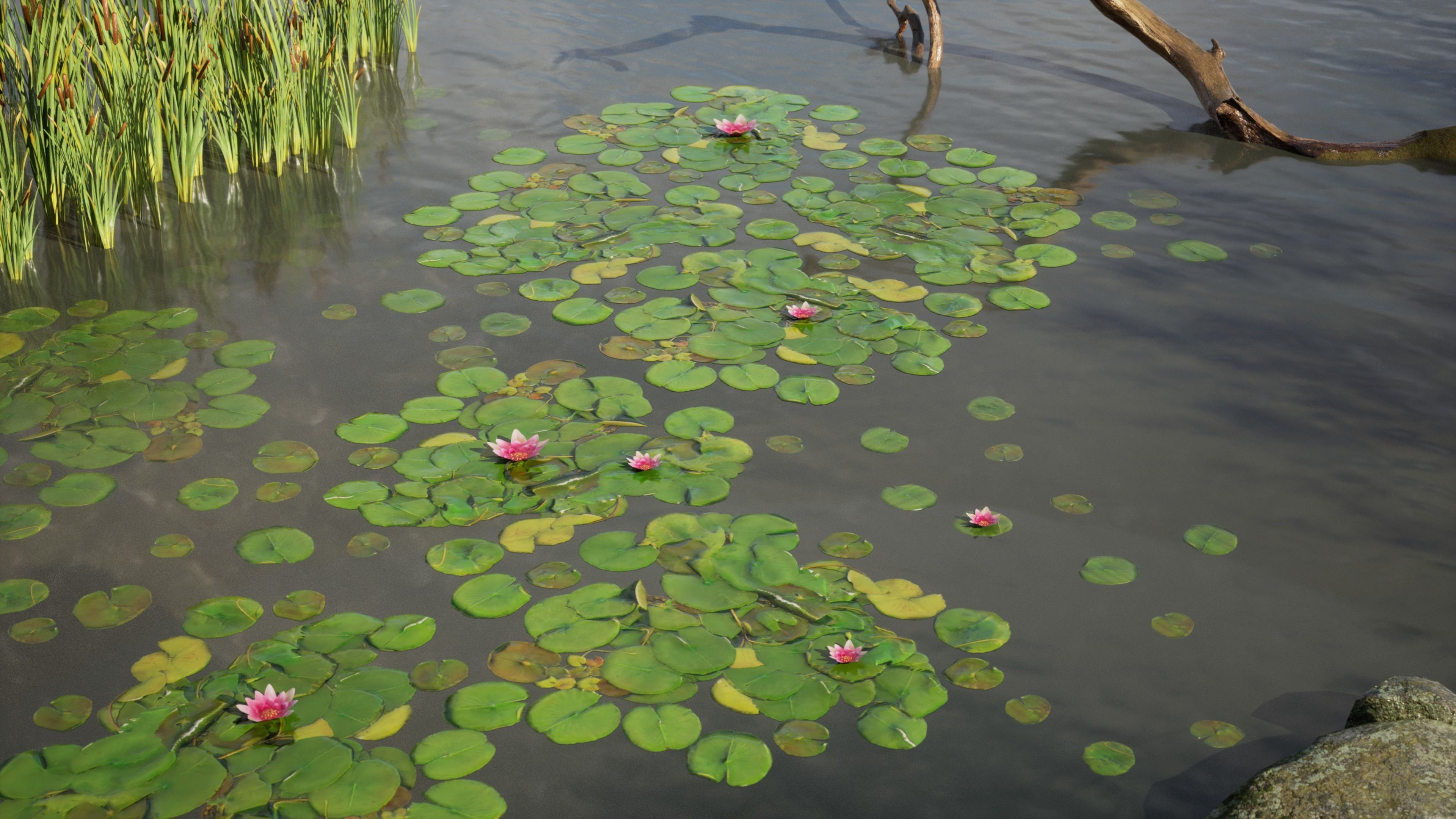 Nature Assets - Lake Plants Low-poly 3D model_1