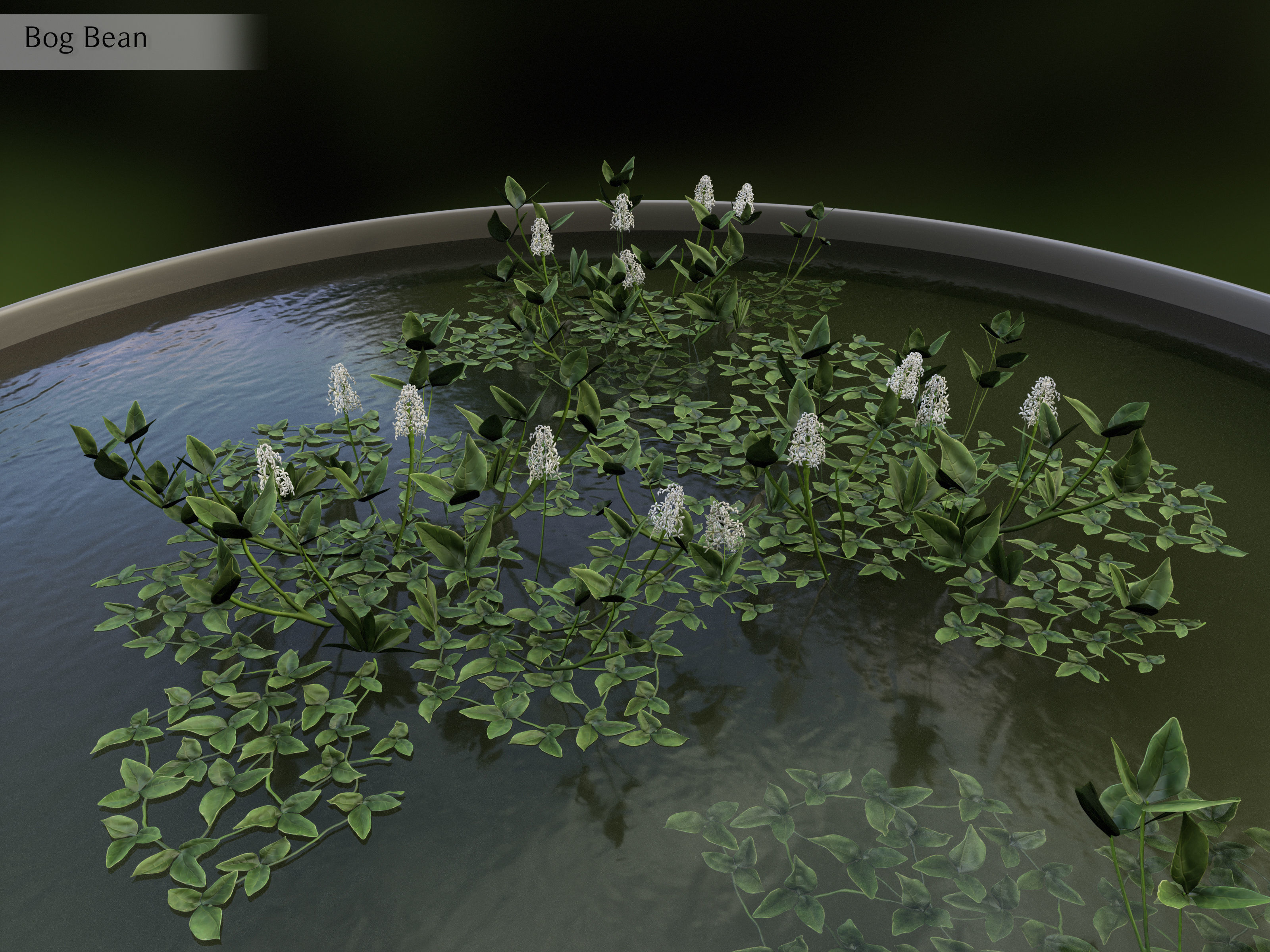 Nature Assets - Lake Plants Low-poly 3D model_3