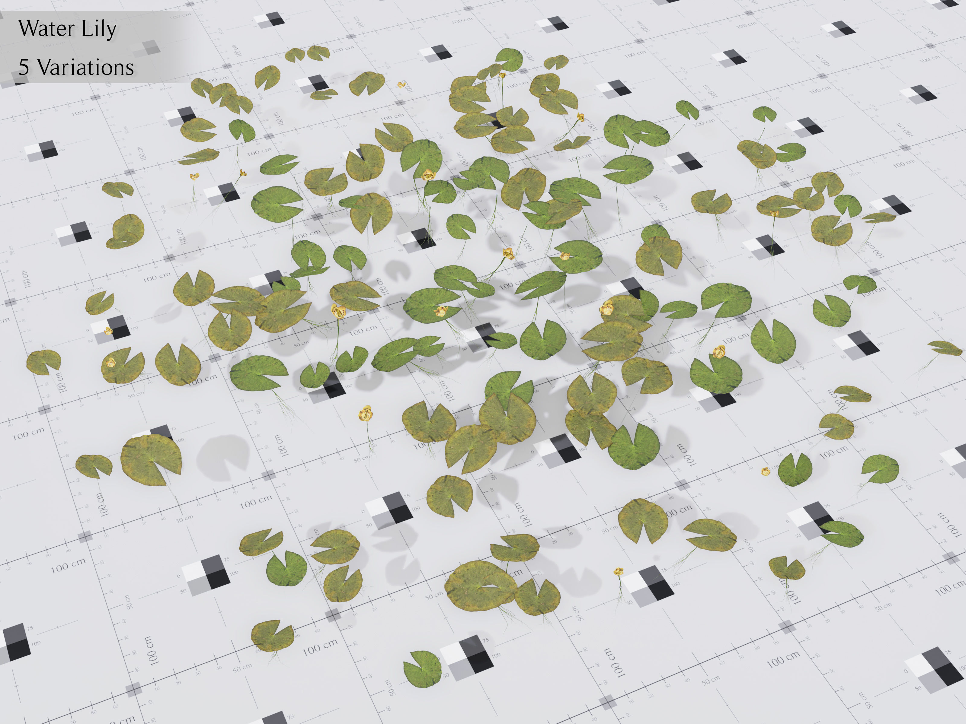 Nature Assets - Lake Plants Low-poly 3D model_15