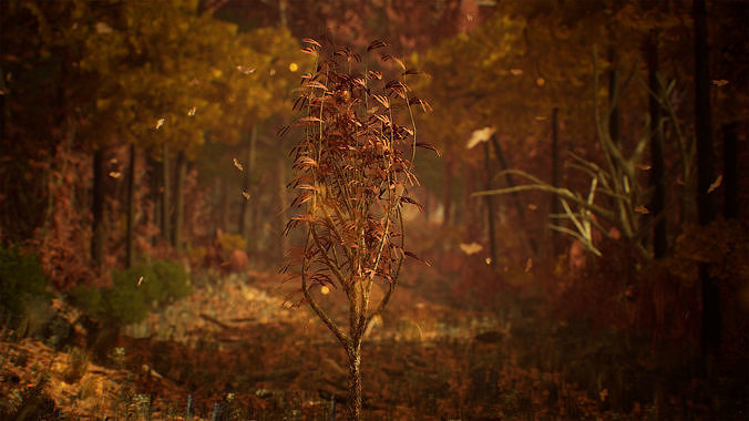 Deciduous Trees 200 Assets Low-poly 3D model 5