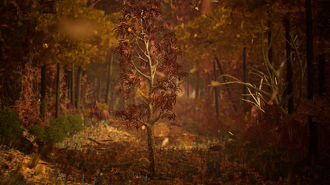 Deciduous Trees 200 Assets Low-poly 3D model 4