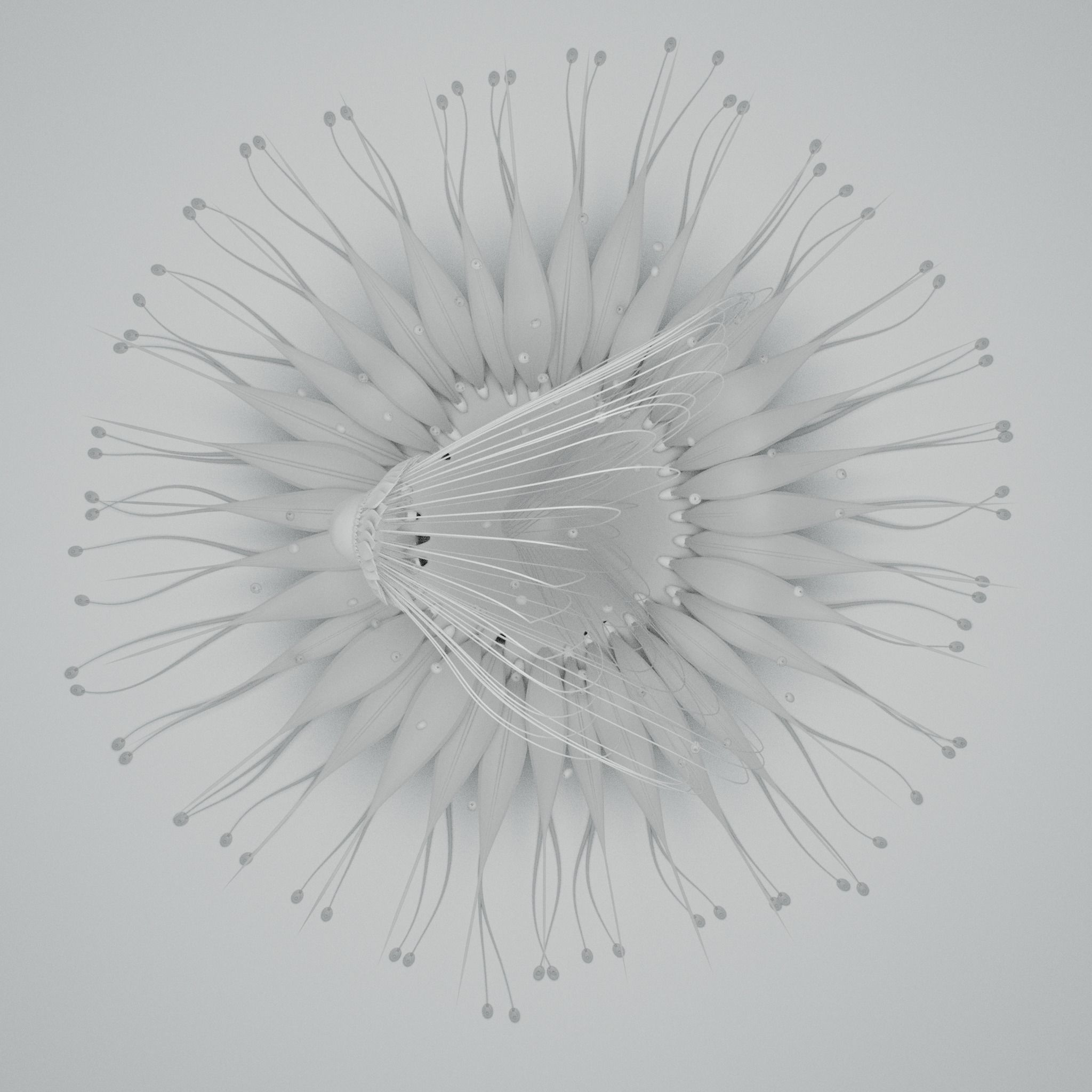 Alien Flower Portal  3D model_16