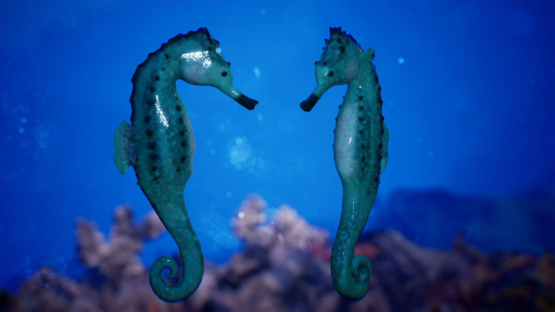 Sea Animals 12 Meshes Low-poly 3D model_5