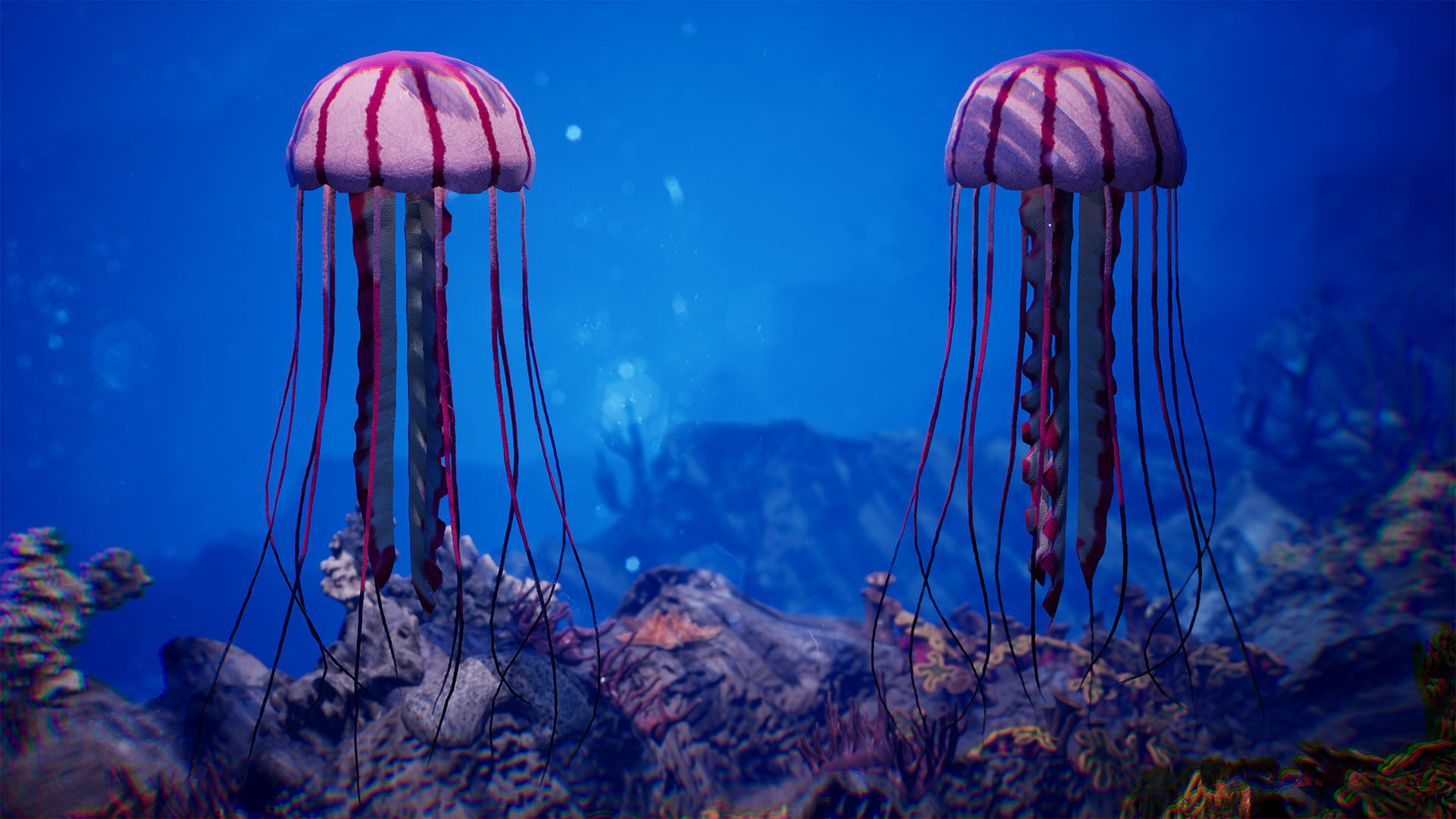 Sea Animals 12 Meshes Low-poly 3D model_8