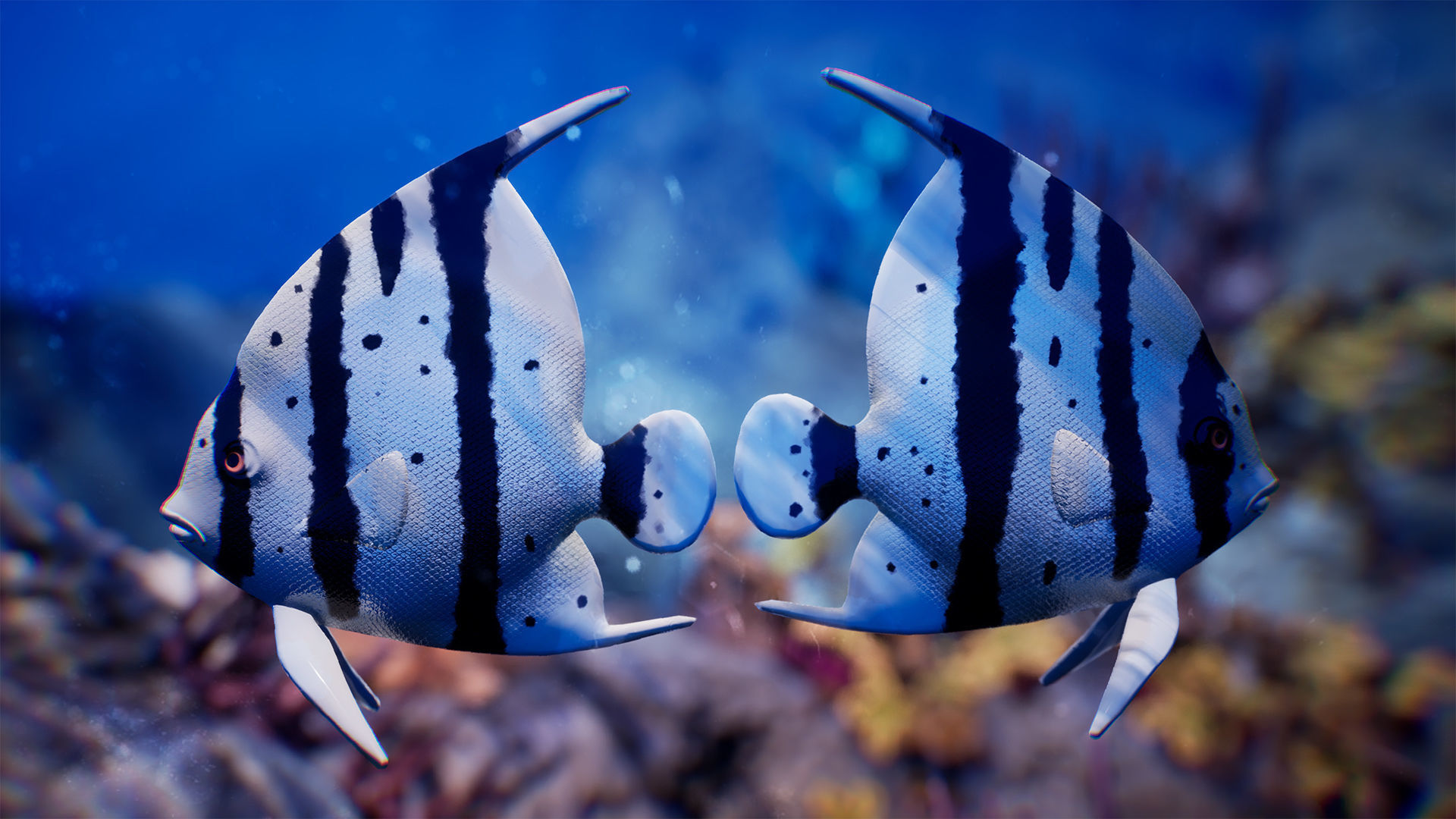 Sea Animals 12 Meshes Low-poly 3D model_12