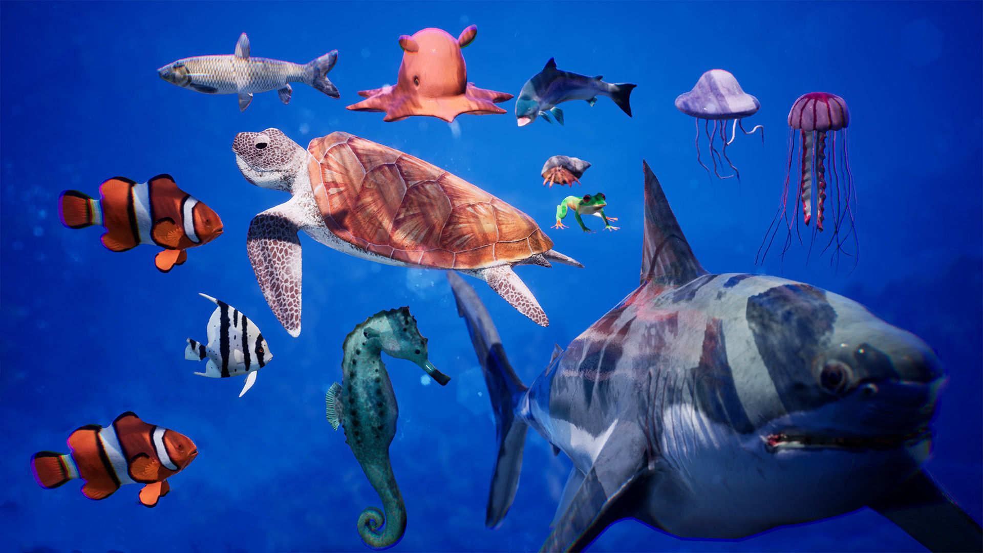 Sea Animals 12 Meshes Low-poly 3D model_2