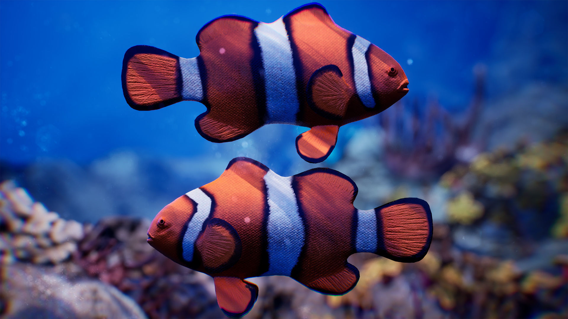 Sea Animals 12 Meshes Low-poly 3D model_11