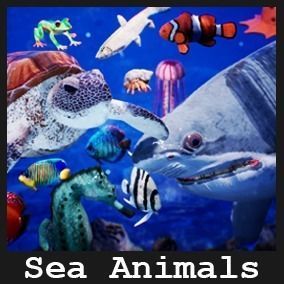 Sea Animals 12 Meshes Low-poly 3D model_13