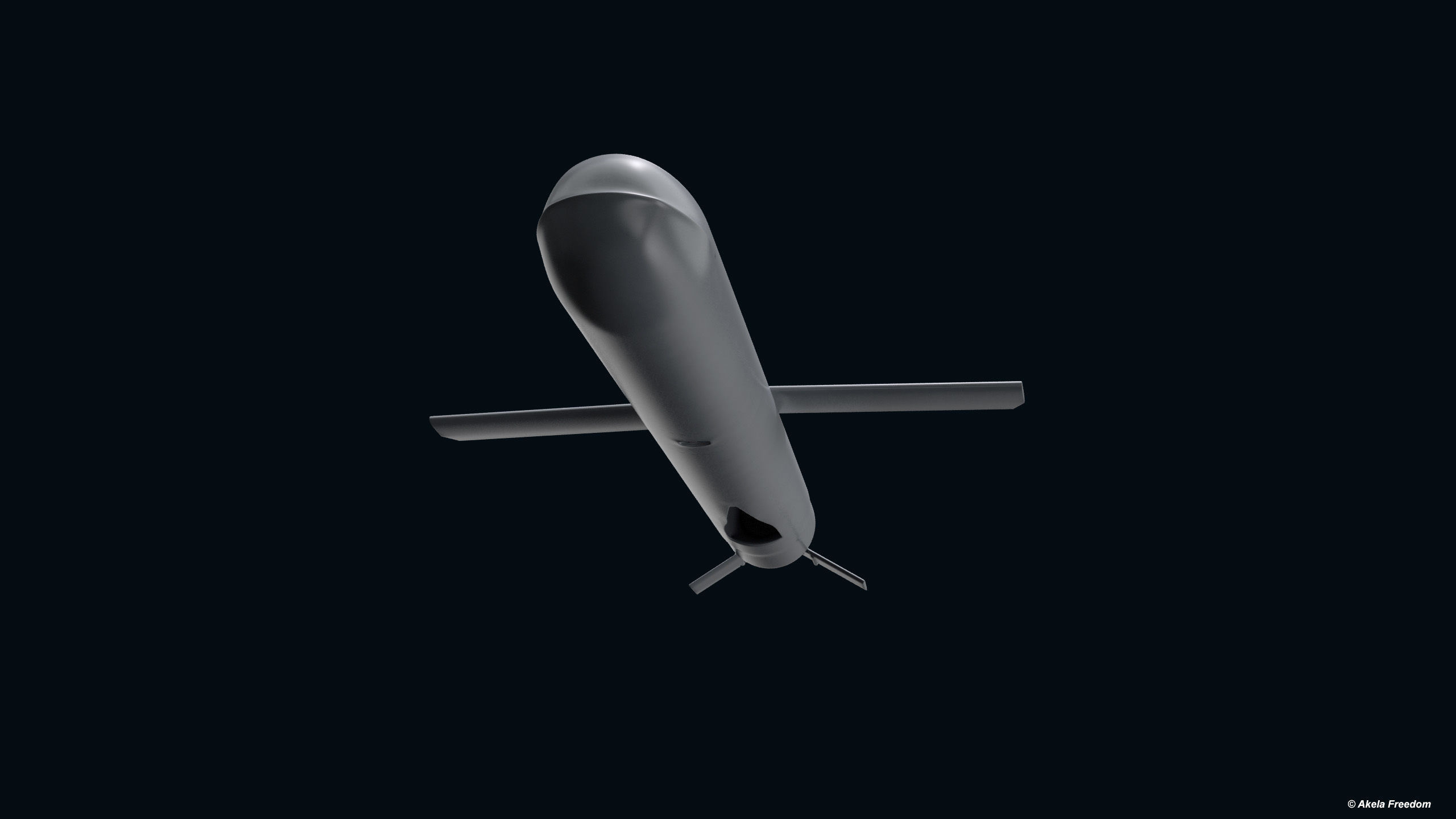 Tomahawk Block V 3D model_16