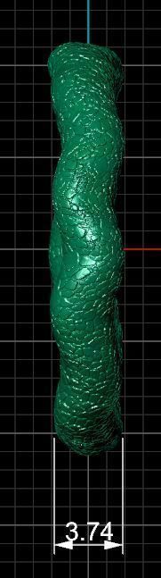 organic ring band 3D print model_6