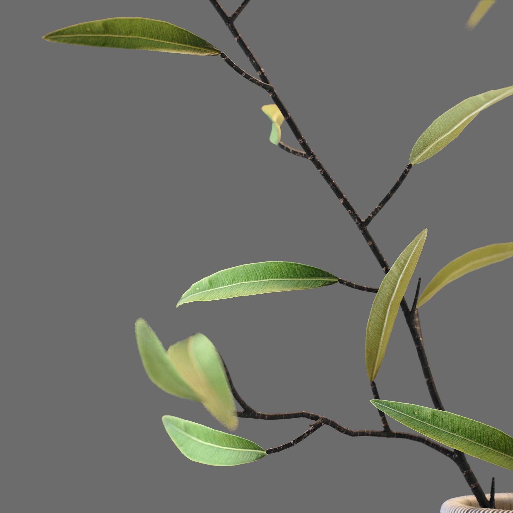 Decor coffee and books Set 20 3D model_2