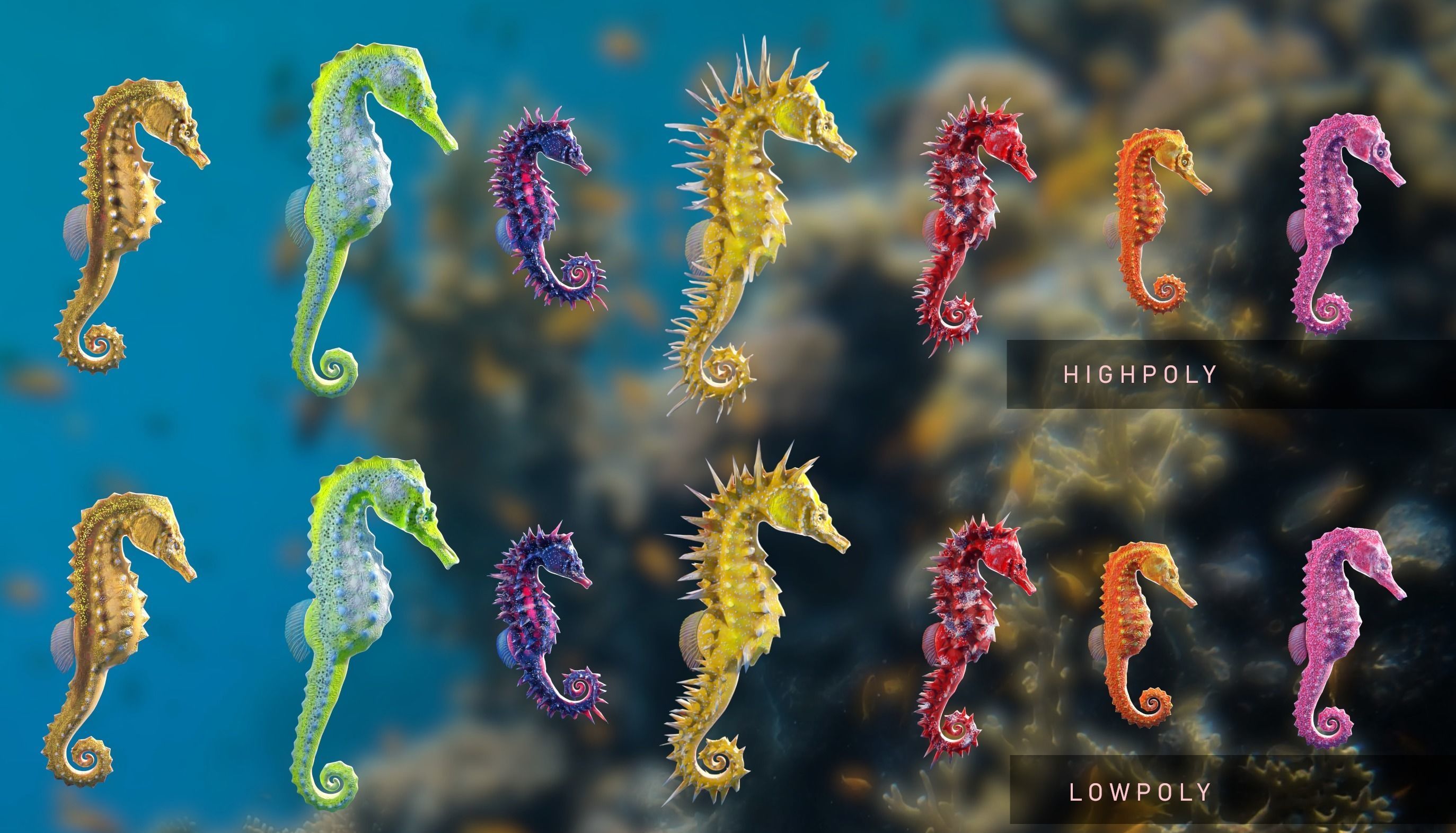 Ocean Coral and Creatures Mega Pack 3D Model Collection_31