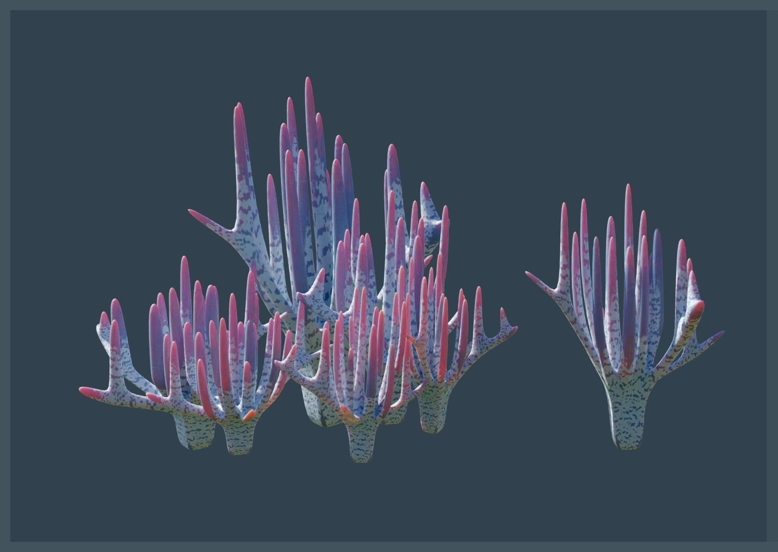 Ocean Coral and Creatures Mega Pack 3D Model Collection_12