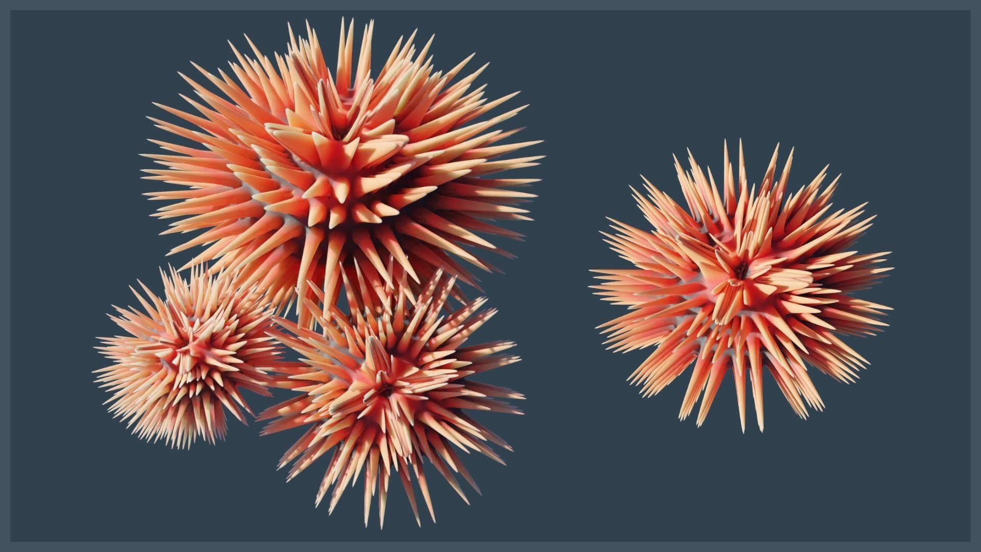 Ocean Coral and Creatures Mega Pack 3D Model Collection_25