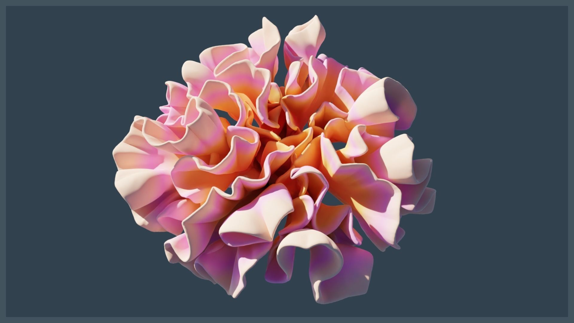 Ocean Coral and Creatures Mega Pack 3D Model Collection_21