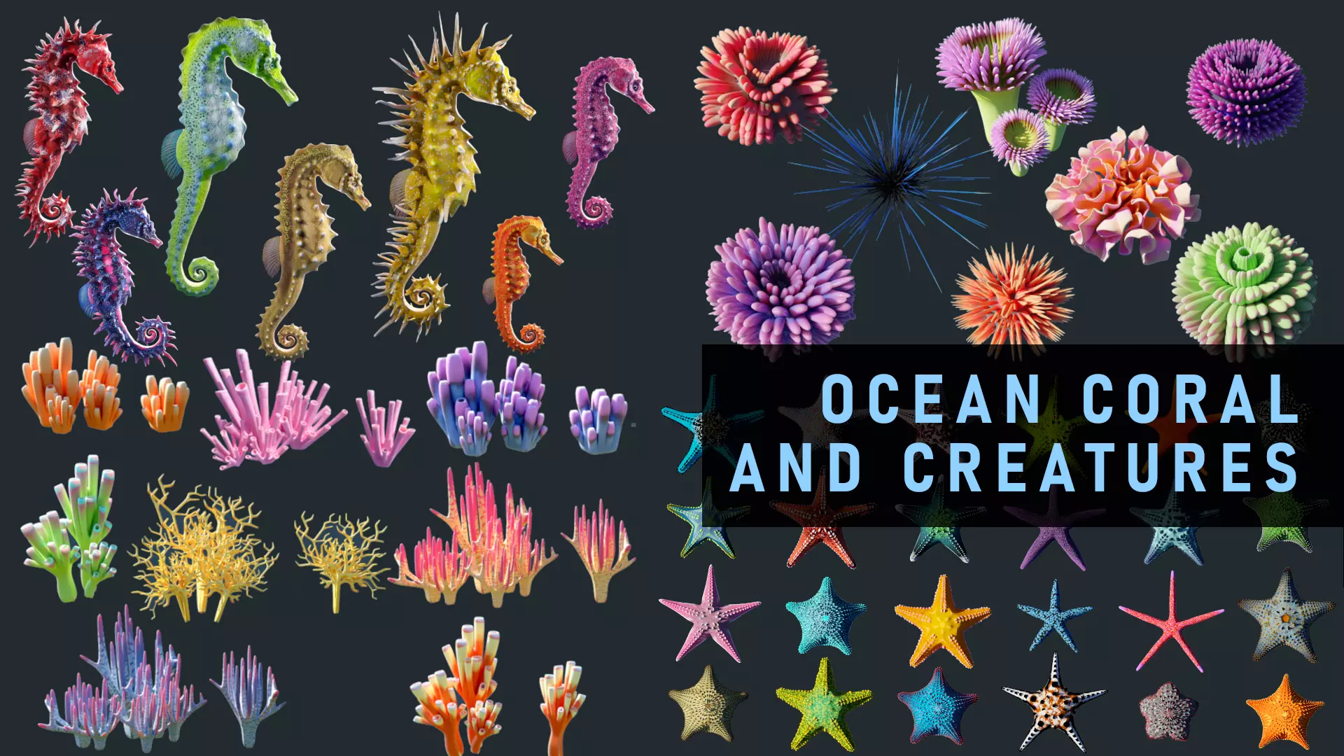 Ocean Coral and Creatures Mega Pack 3D Model Collection_0