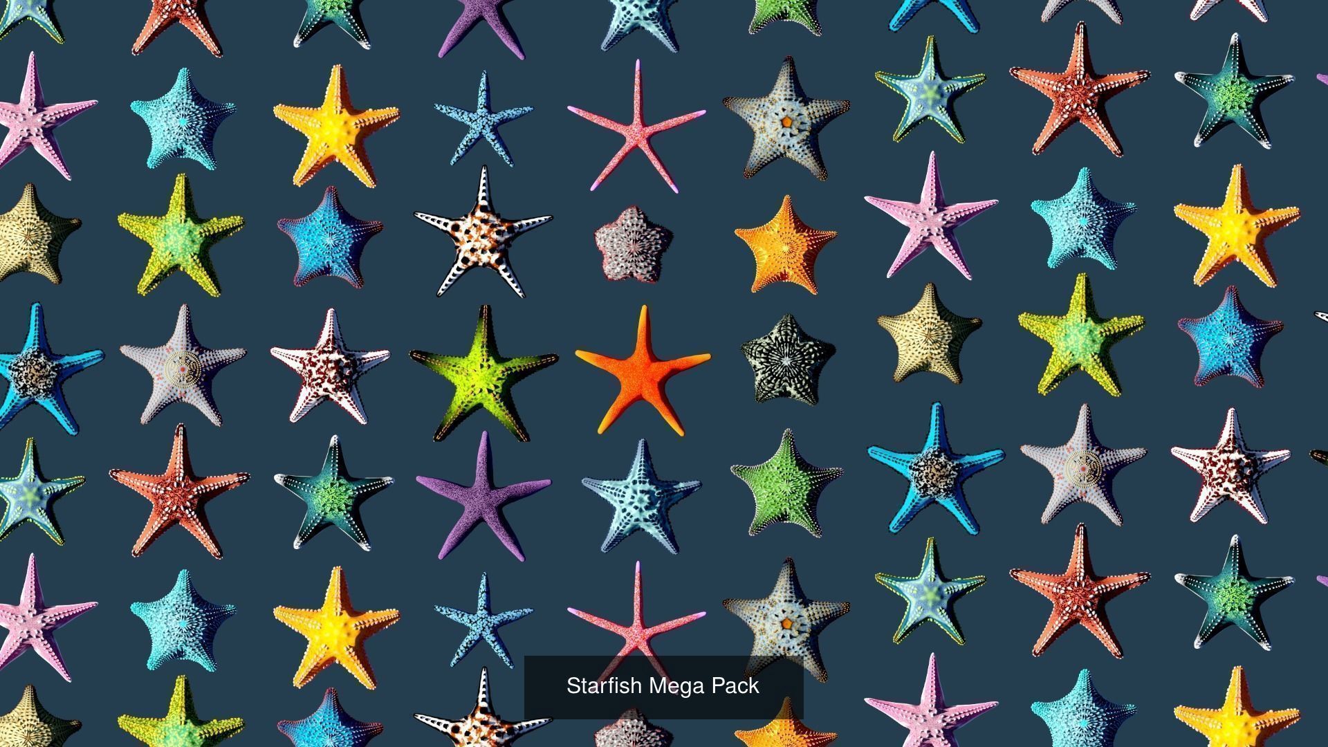 Ocean Coral and Creatures Mega Pack 3D Model Collection_3