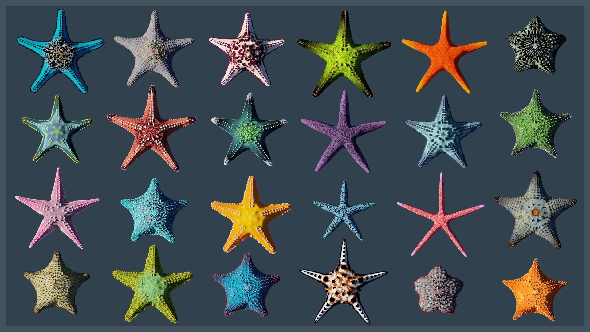 Ocean Coral and Creatures Mega Pack 3D Model Collection_33