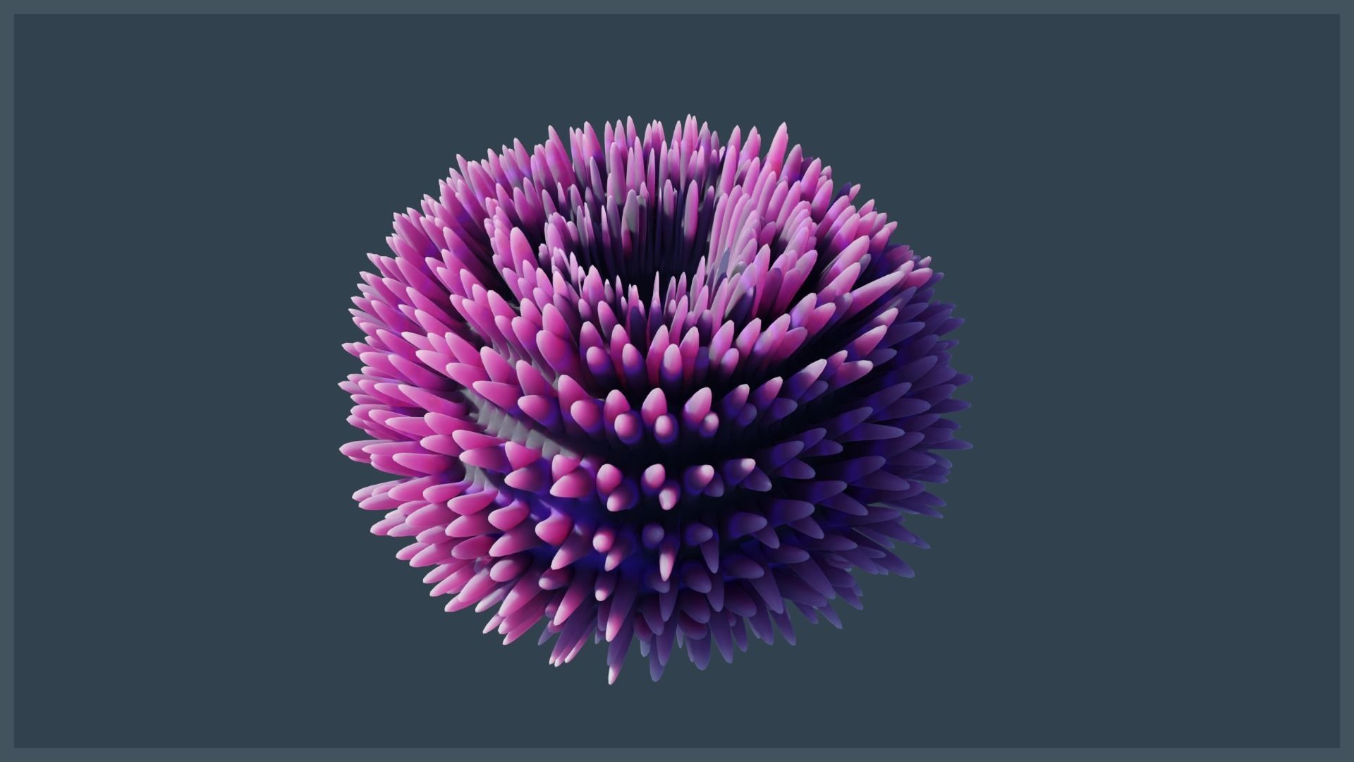 Ocean Coral and Creatures Mega Pack 3D Model Collection_26