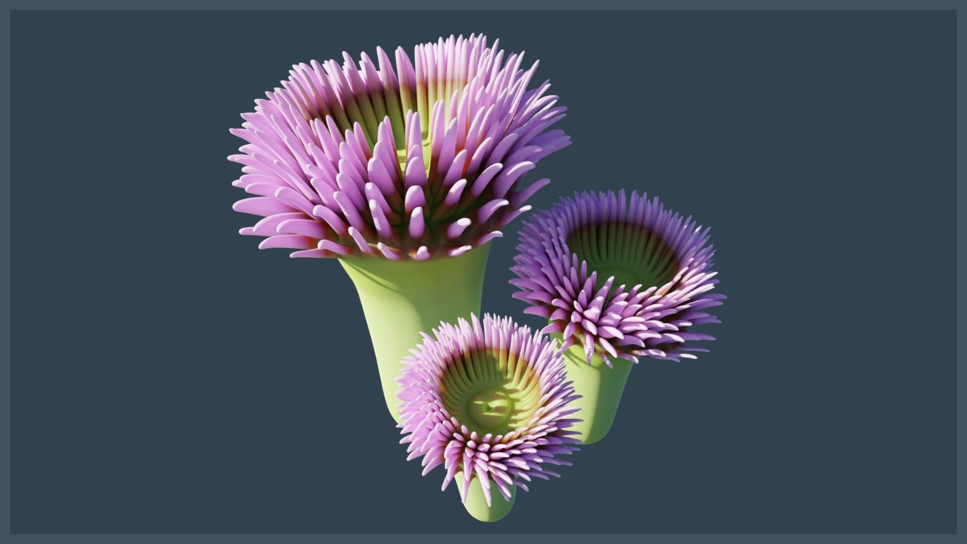 Ocean Coral and Creatures Mega Pack 3D Model Collection_23