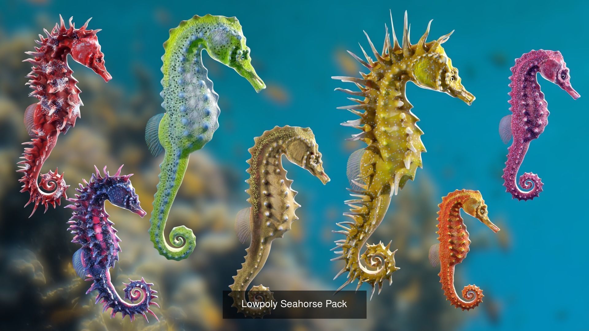 Ocean Coral and Creatures Mega Pack 3D Model Collection_2