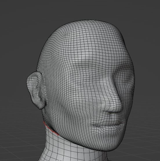 Base Mesh for Mid-Poly Character 3D model_7