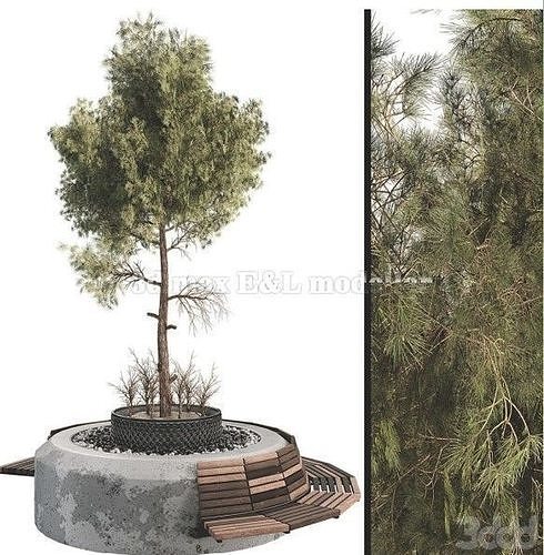 Outdoor Plant Set free flower Low-poly 3D model