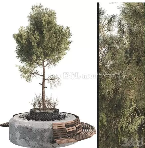 Outdoor Plant Set free flower Low-poly 3D model