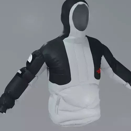 Jacket The North Face feat Supreme