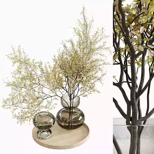 Branches plant with galss vase brown  Low-poly 3D model