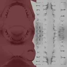 ladies biker jacket Low-poly 3D model_27